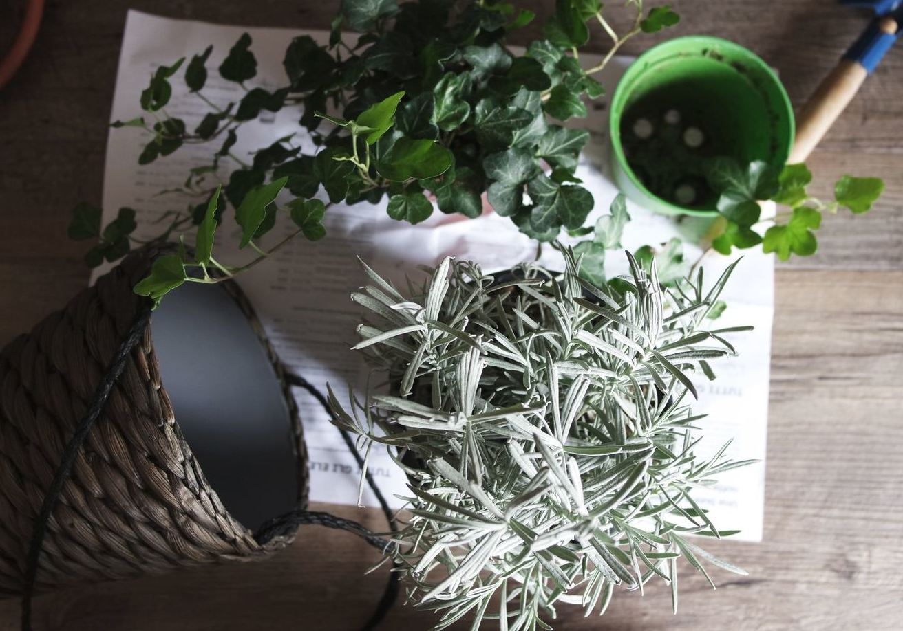 Товары для ухода